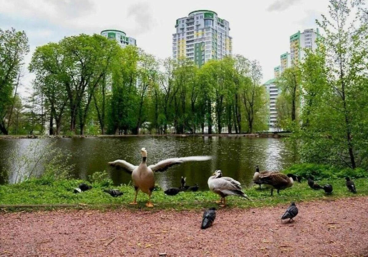 2k apartment vul. Vyshgorods'ka 457083319