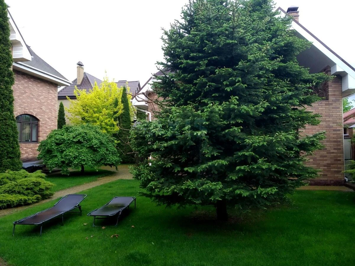 House prov. Jalynkovyj, 600m2, Kyiv city693803