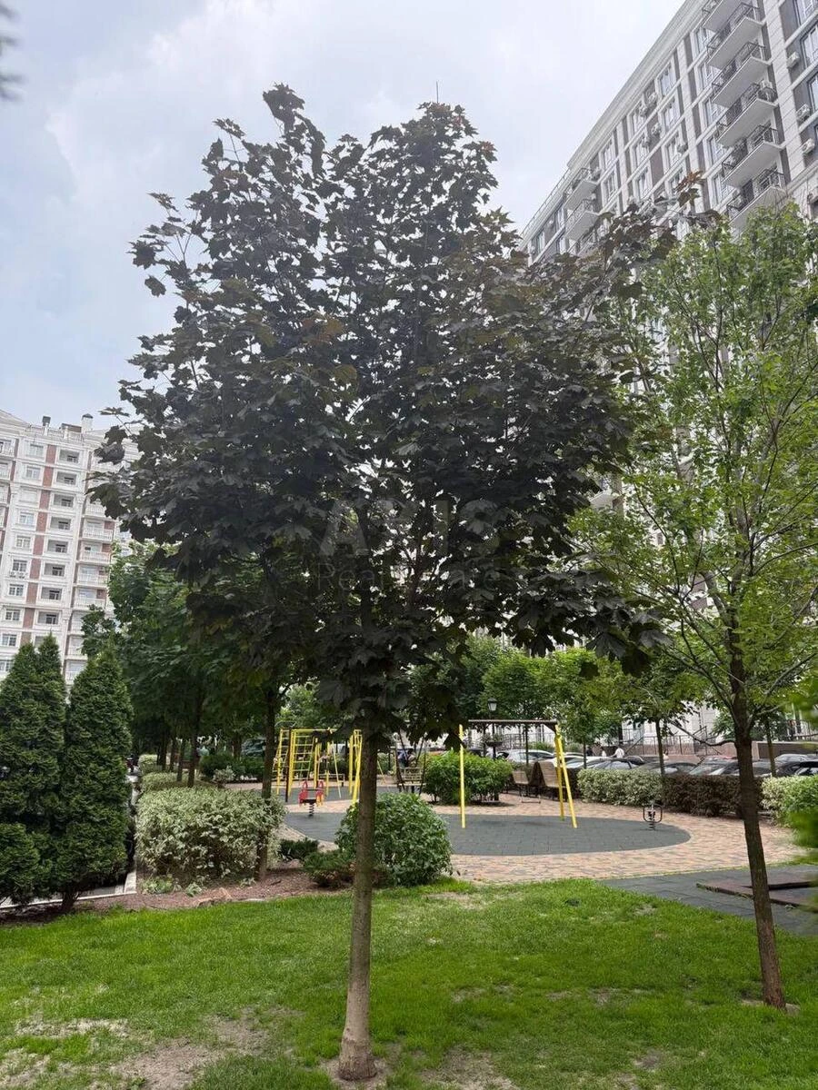 2к квартира ул. Михаила Максимовича 26Г6904022