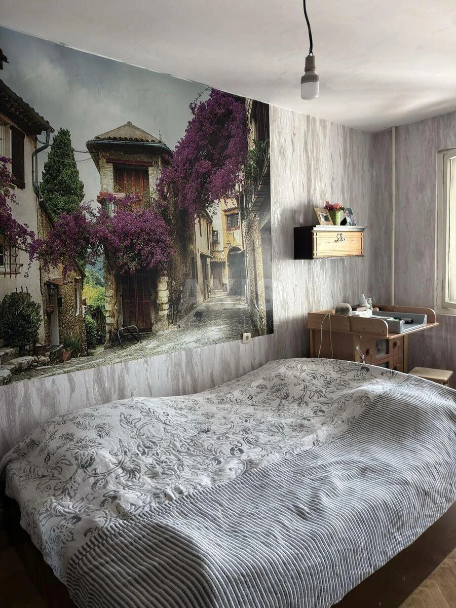 3k apartment vul. Pancha Petra 9695416
