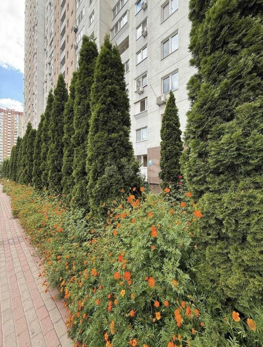 3к квартира ул. Урловская 38709223