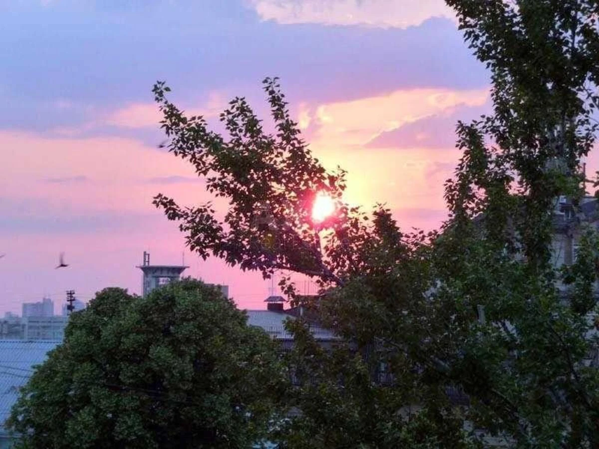 2k apartment vul. Shovkovychna 32/346946412